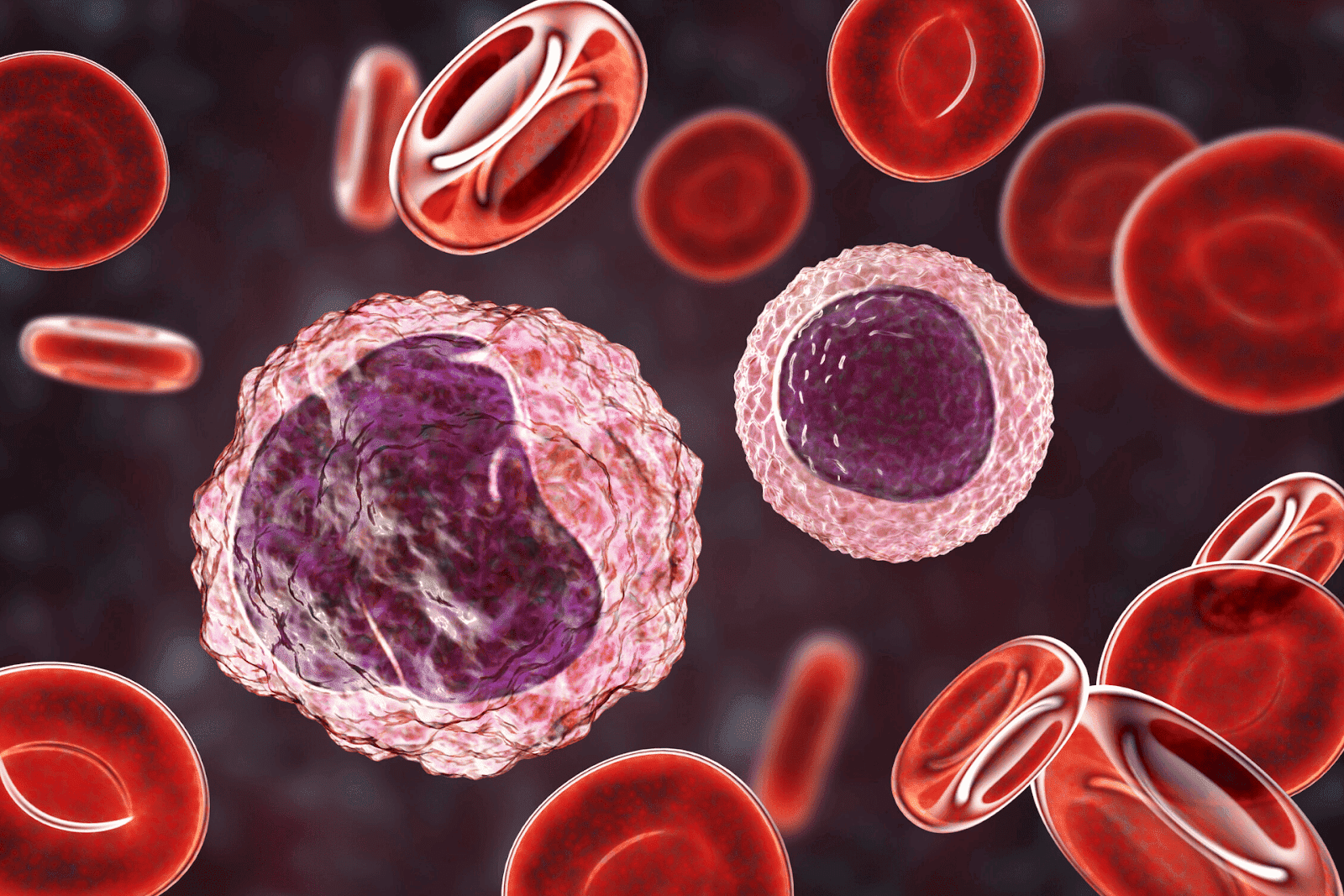 3D illustration of red and white blood cells.
