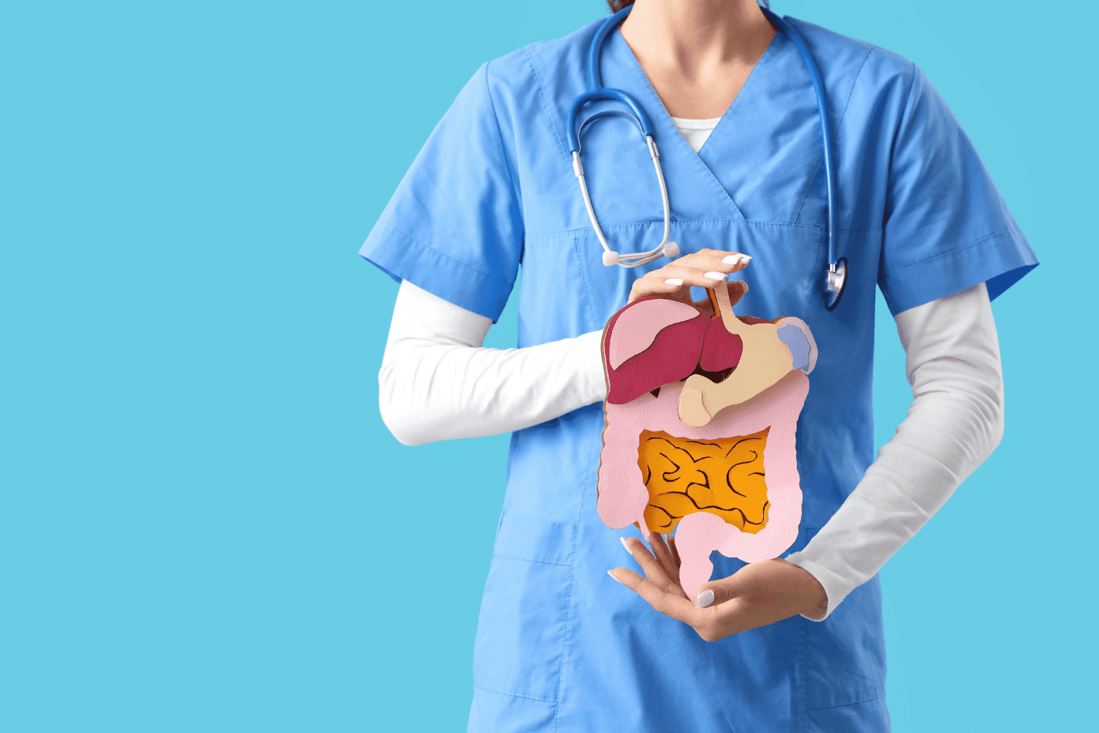 A healthcare professional in scrubs holds a model of the human digestive system against a blue background.