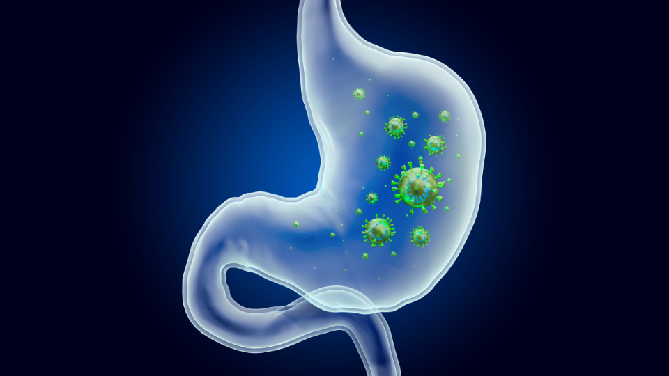 Illustration of a bladder with bacteria infecting it