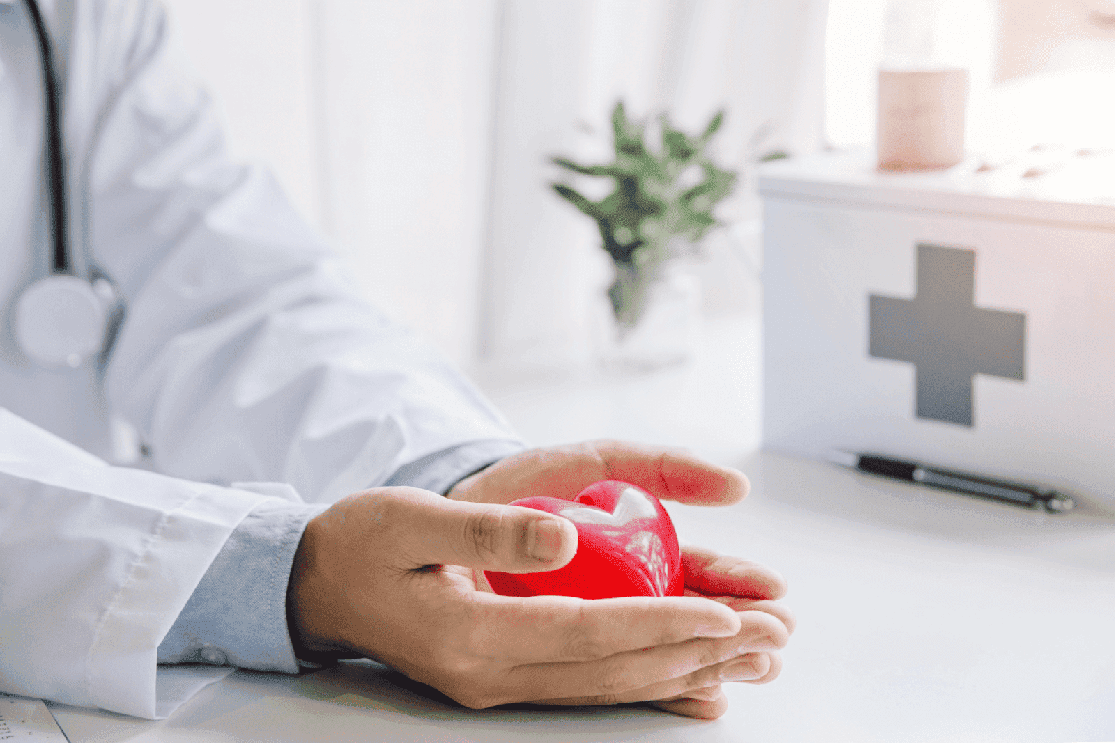 Doctor holding a red heart model in hands, symbolizing healthcare and patient care.