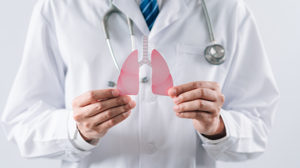 Doctor holding up paper model of lungs