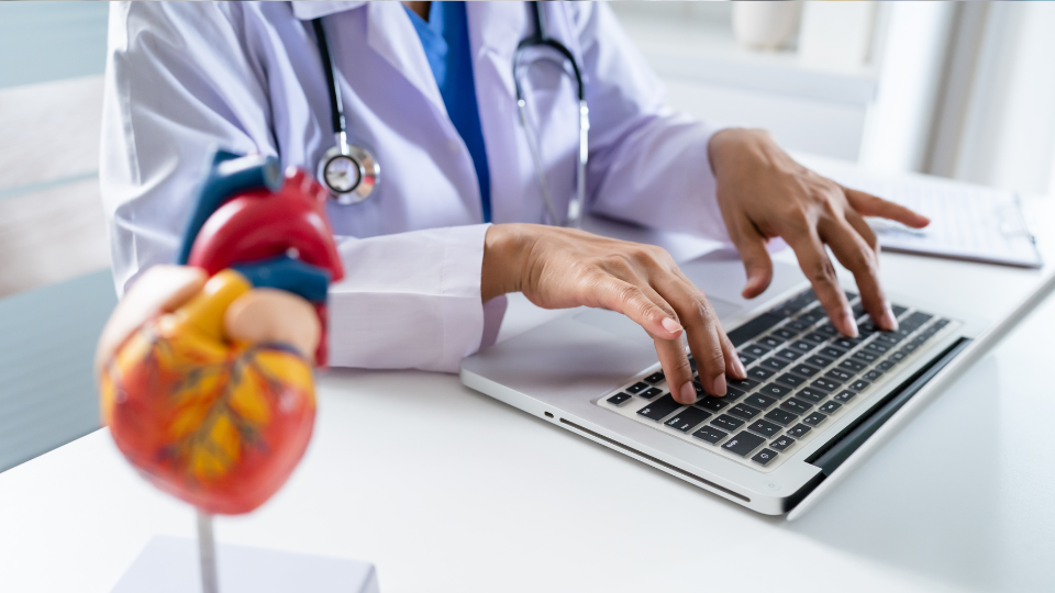 Doctor on laptop with anatomical model of heart on desk