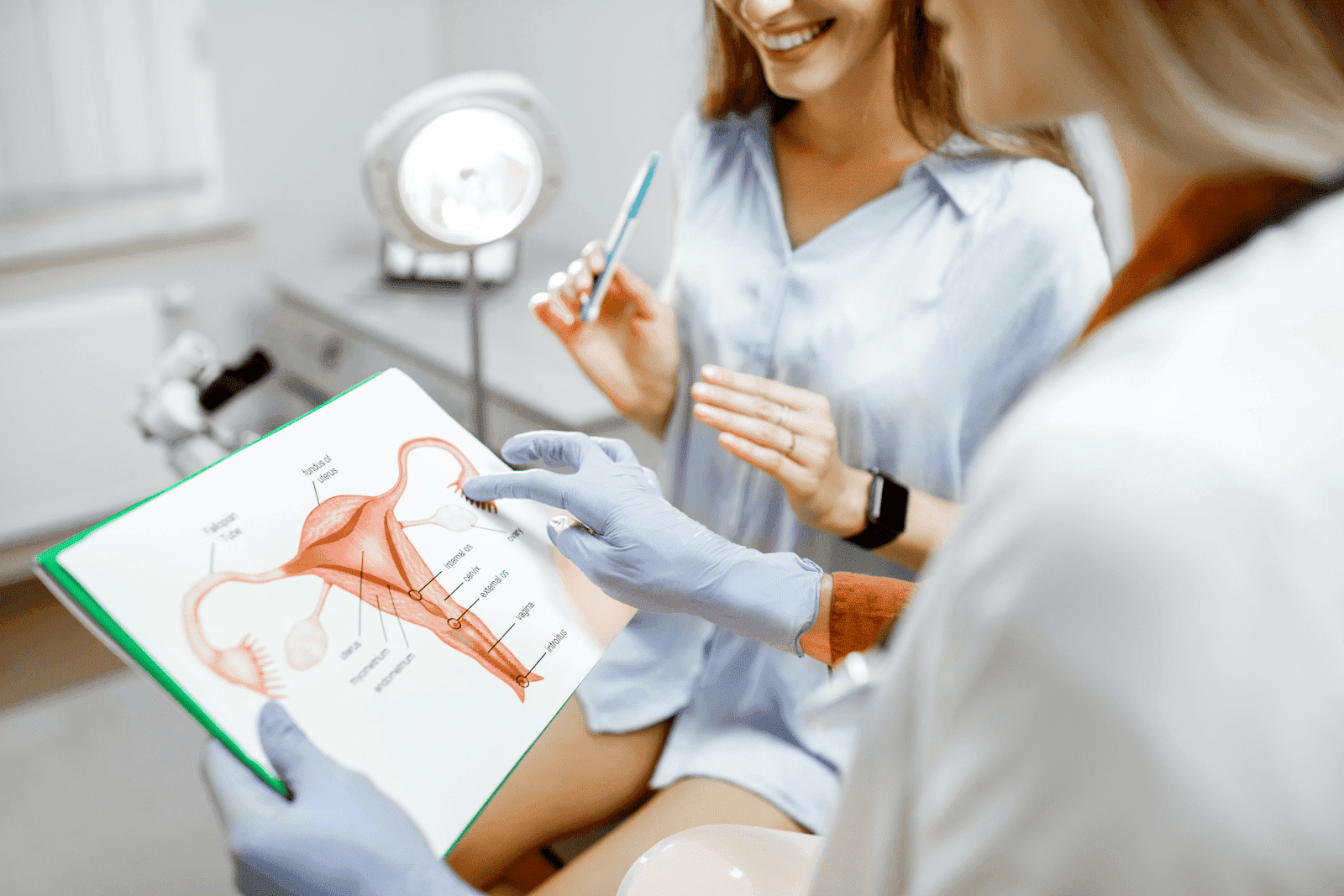 Doctor showing a diagram of the female reproductive system to a patient.