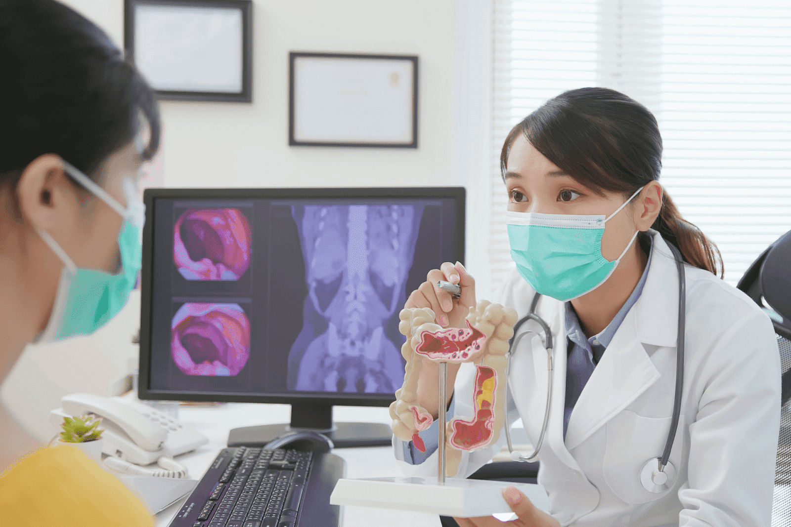 Female doctor explaining colon anatomy to a patient using a model.