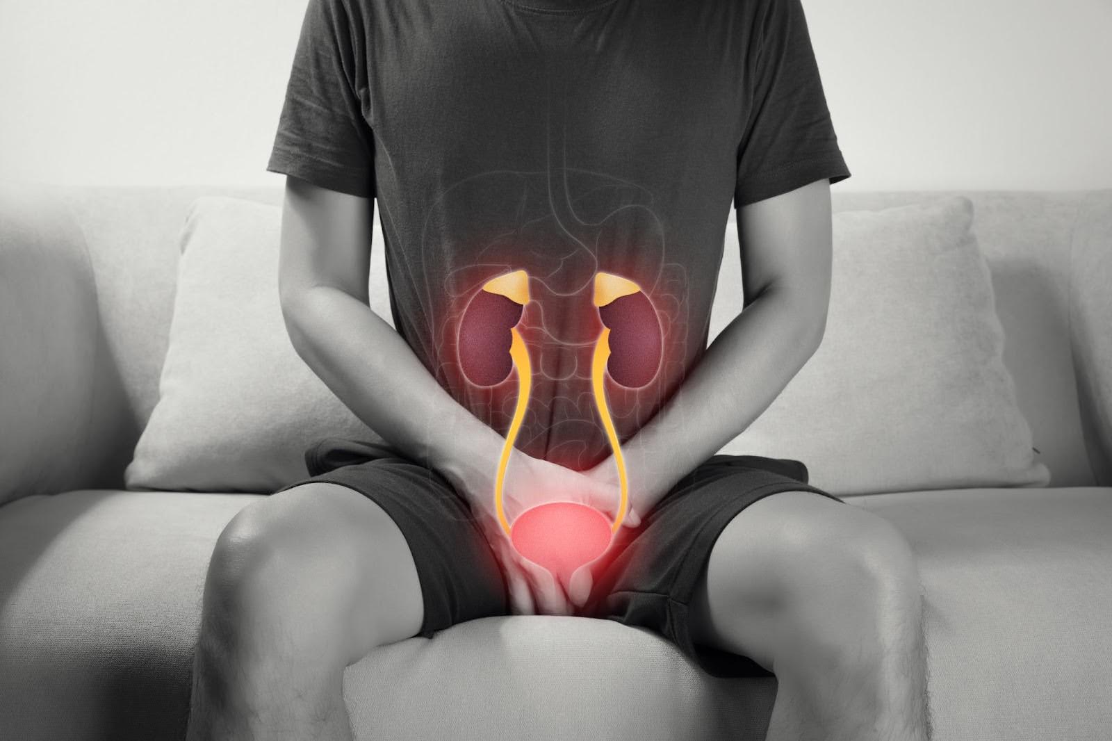 Man holding his crotch with urethra and kidney graphics