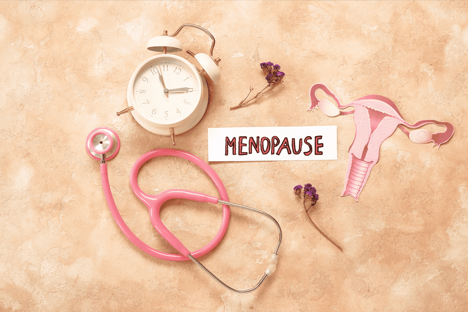 Menopause concept with clock, stethoscope, and reproductive system illustration.