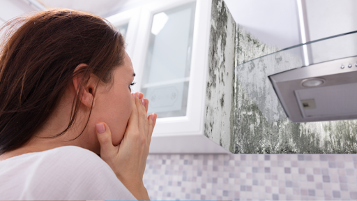 Woman disgusted by mold in kitchen