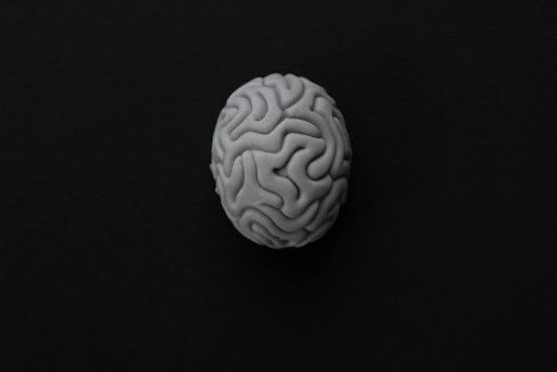 Monochrome photo of a brain.