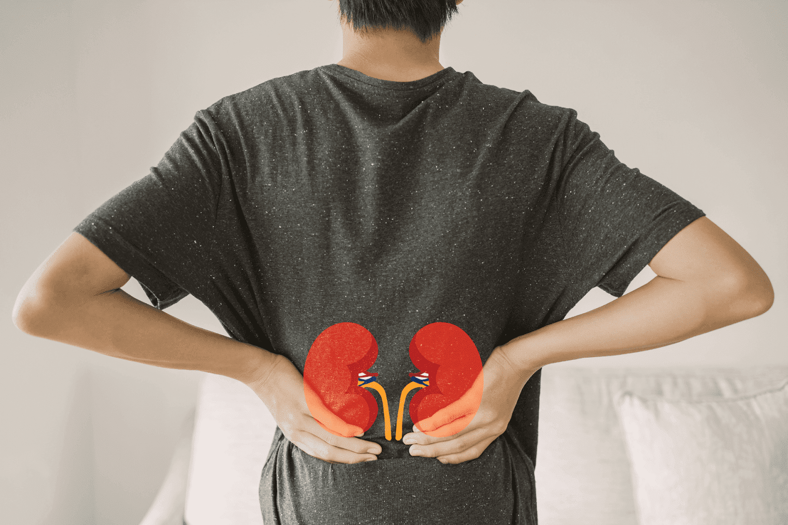 Person holding lower back with an overlay of kidneys highlighted.