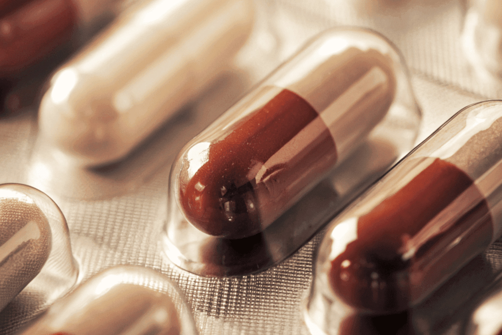 Close-up of red-and-white capsules in clear blister packaging