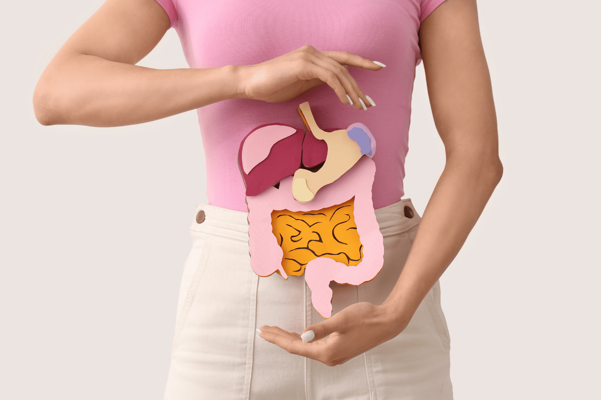 Woman holding paper cutout of digestive system over her abdomen.