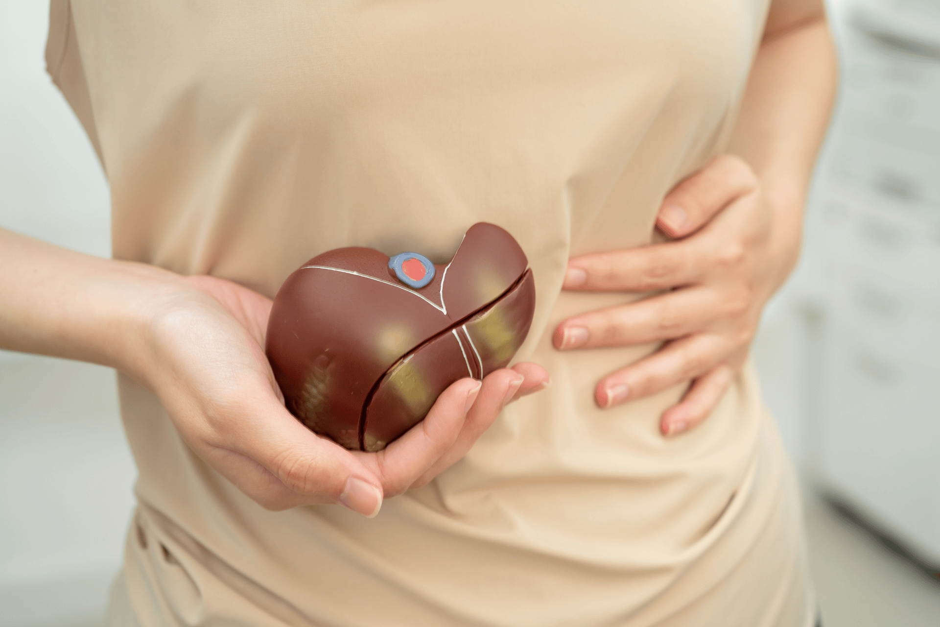 A model of the liver held against the abdomen, representing fatty liver disease and liver health concerns.