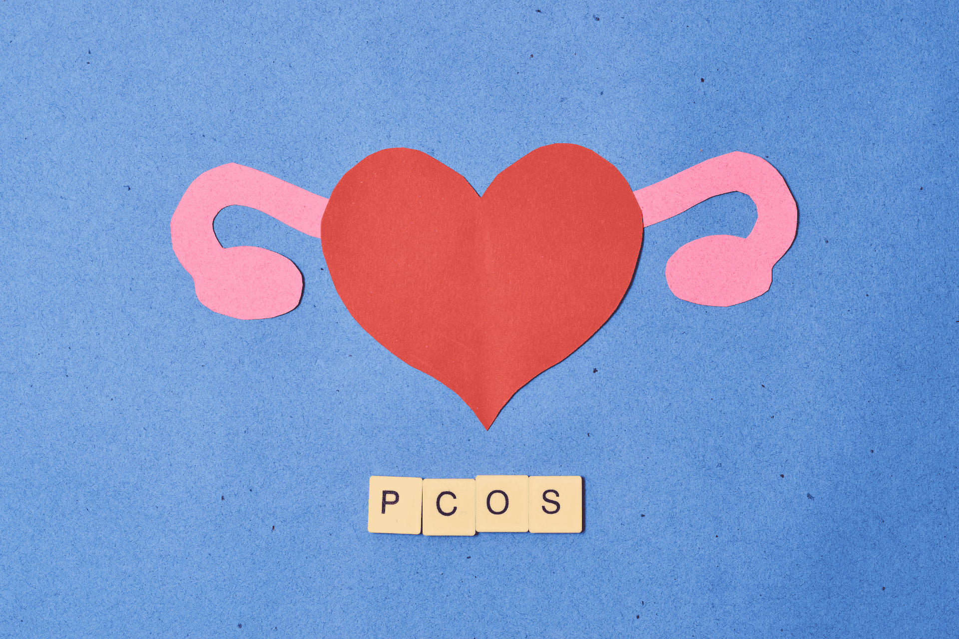 An illustrated representation of PCOS (Polycystic Ovary Syndrome), symbolizing the ovaries and uterus with a heart, highlighting women’s reproductive health and hormonal imbalance.