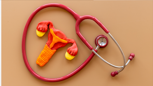 A stethoscope next to an ovary model