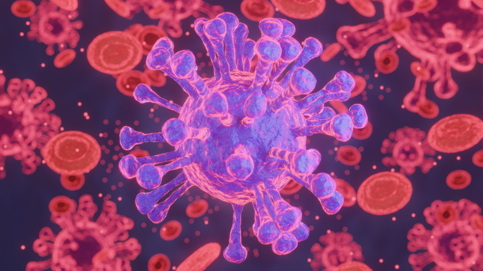 Illustration image of virus and red blood cells