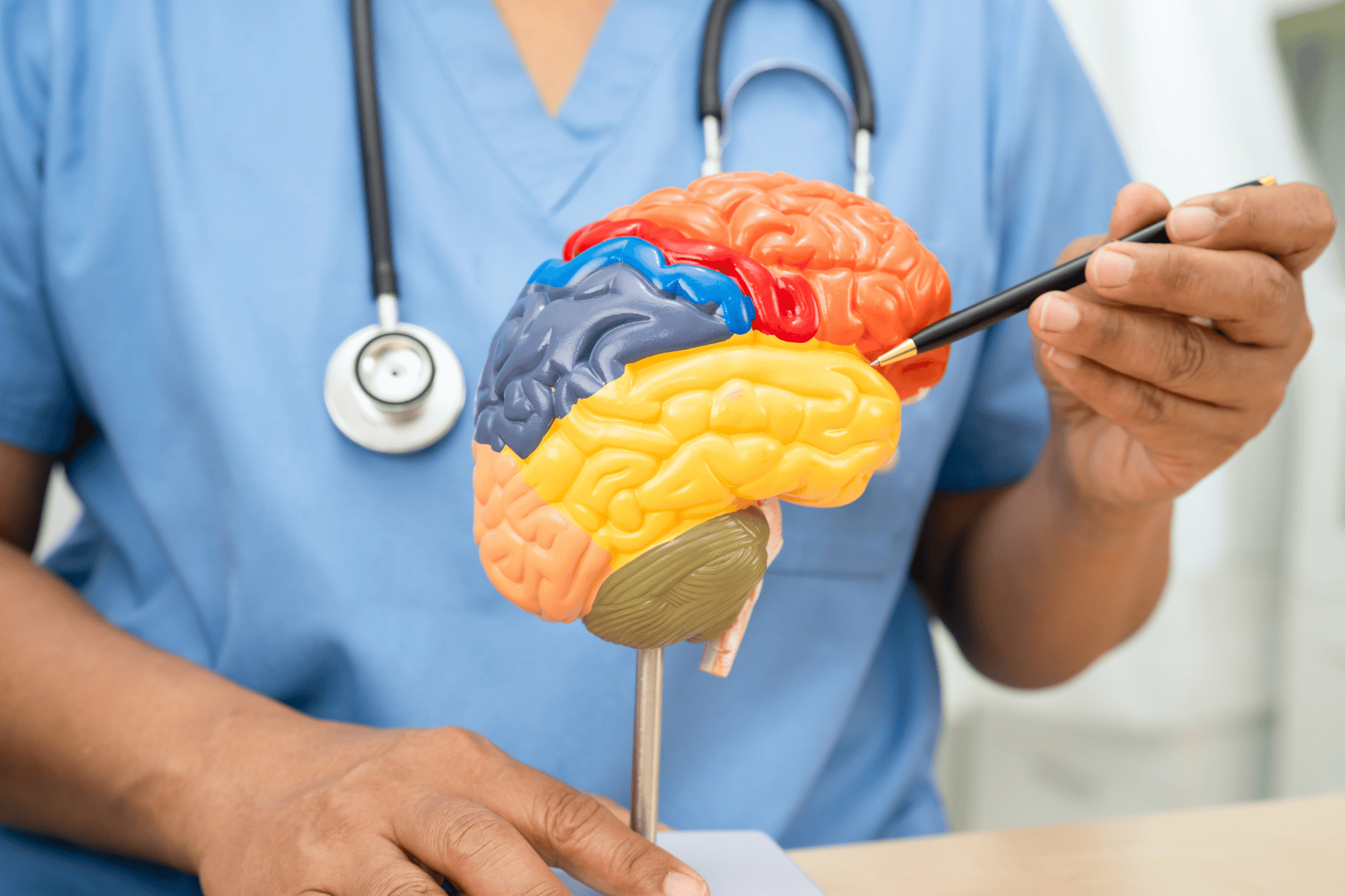 Doctor pointing at sections of a colorful human brain model.